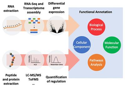 Bioprospecting and marine ‘omics’: surfing the deep blue sea for novel bioactive proteins and peptides